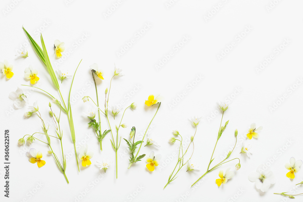 wild flowers on white  background