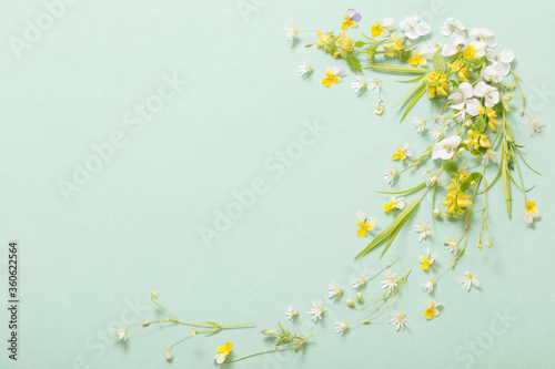 wild flowers on paper background