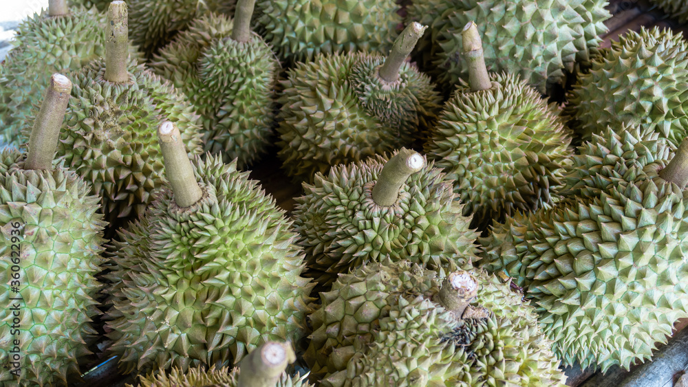 Durian fruit Durian fruit