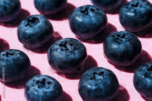 Blueberries berries pink background, hard shadows. Berry texture