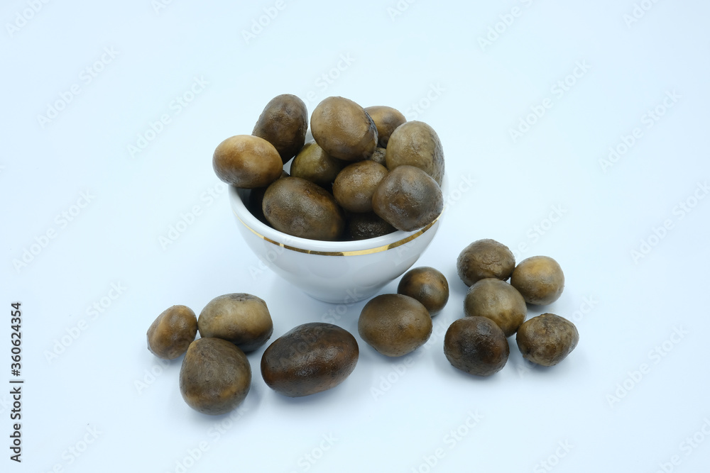 Puff ball mushroom or Barometer earthstar or Hygroscopic earthstar (Astraeus hygrometricus), occur and grow naturally, the famous ingredient of the northern of Thailand Puff ball mushroom or Barometer earthstar or Hygroscopic earthstar (Astraeus hygrometricus), occur and grow naturally, the famous ingredient of the northern of Thailand
