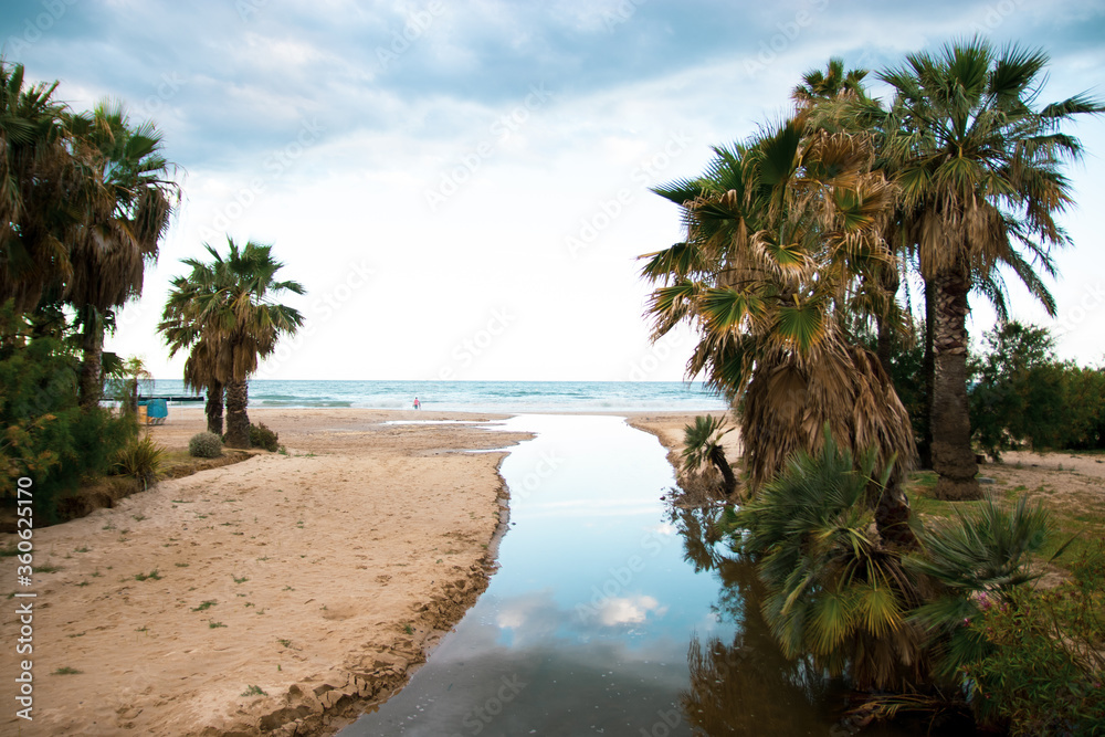 Desembocadura de rio en la playa con palmeras