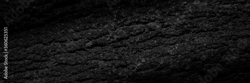 Old dark black gray color tree bark abstract background