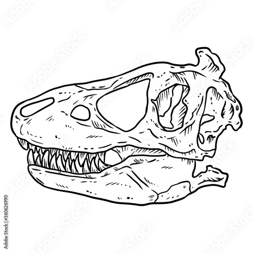 Trex fossilized skull hand drawn sketch image. Carnivorous reptile dinosaur fossil illustration drawing. Vector stock outline silhouette