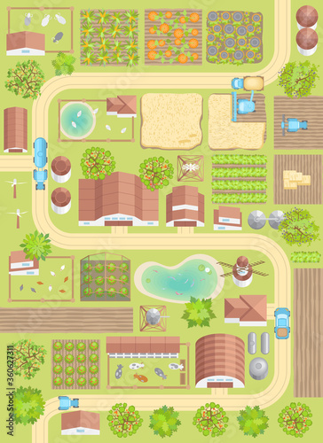 Vector illustration. Green farm. (top view) Fields, vegetable gardens, hangars, buildings, barns, agricultural machinery, ponds, road. (view from above)