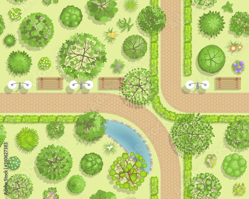 Seamless pattern. Park top view. Various trees, paths, benches, lights, pond. View from above. 