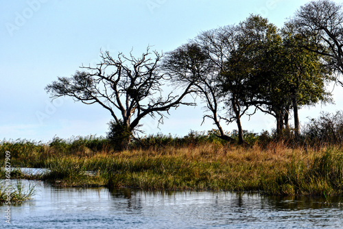 Flussfahrt auf dem Kwando River in de Caprivi Region , Namibia © maxbaer