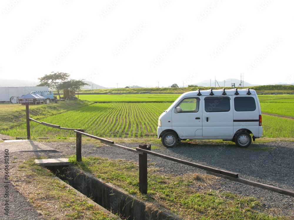 Japanese rice fields 