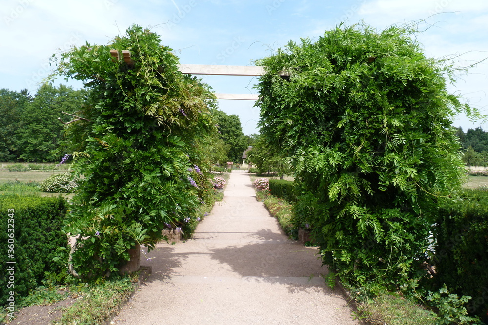 Naklejka premium Rosenhöhe Darmstadt