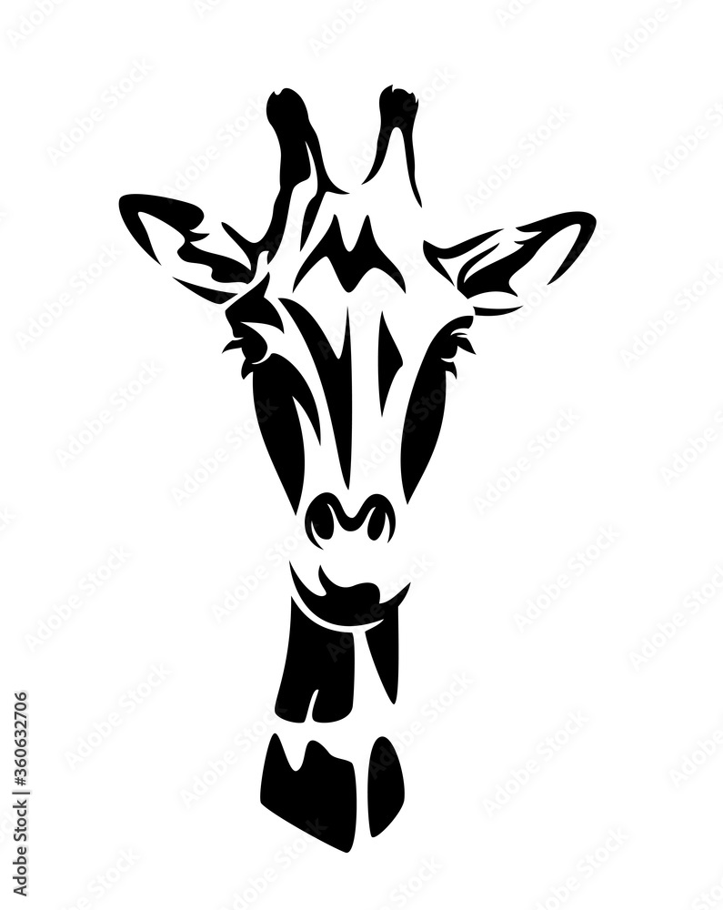 beautiful african giraffe looking forward - wild animal black and white vector head portrait beautiful african giraffe looking forward - wild animal black and white vector head portrait