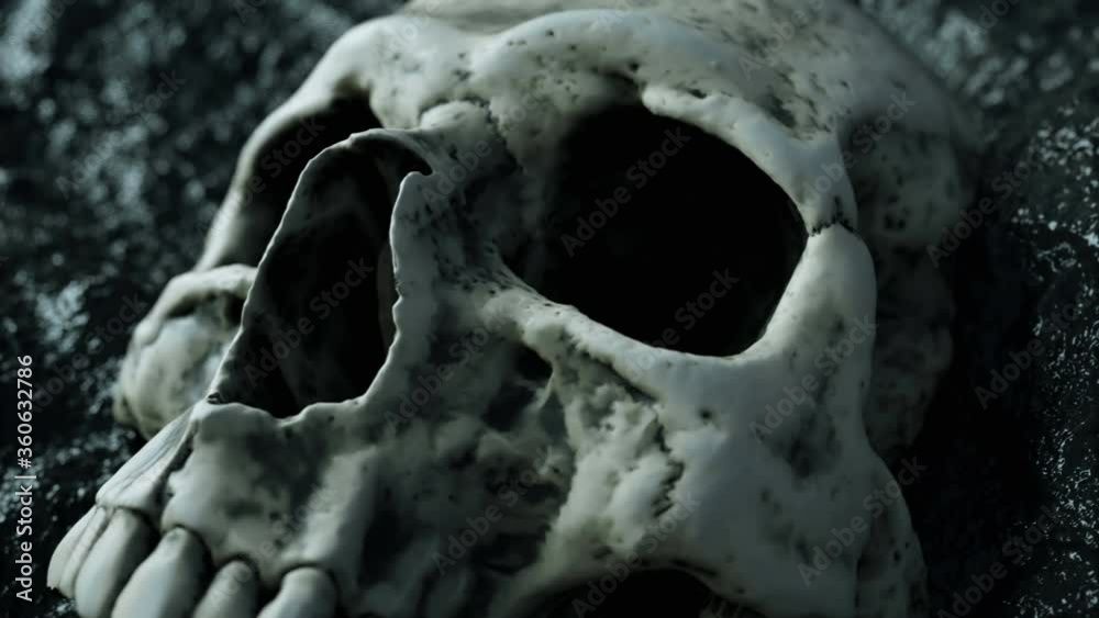 ancient human skull. Apocalypse concept. 3d rendering.