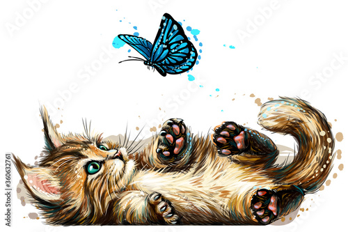 A kitten is playing with a butterfly. Wall sticker with the image of a blue-eyed Maine Coon kitten catching a butterfly in a watercolor style.