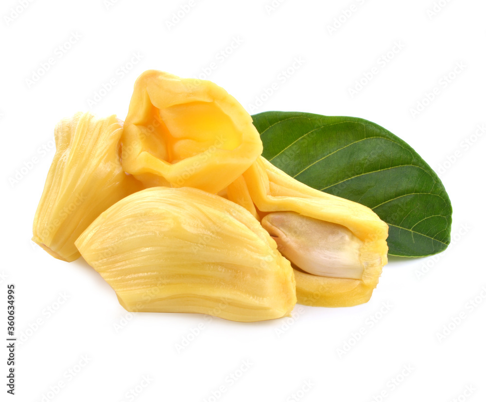section of jackfruit isolated on white background section of jackfruit isolated on white background