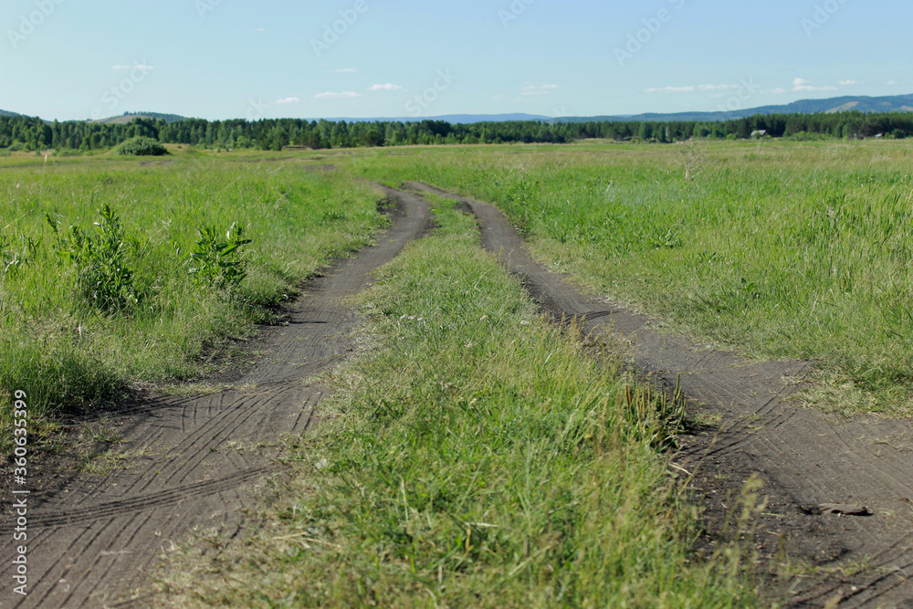 Fototapeta premium path in the field