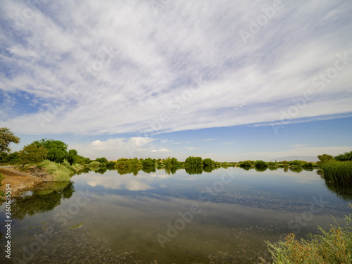 Beautiful landscape in Henderson Bird Viewing Preserve © Kit Leong