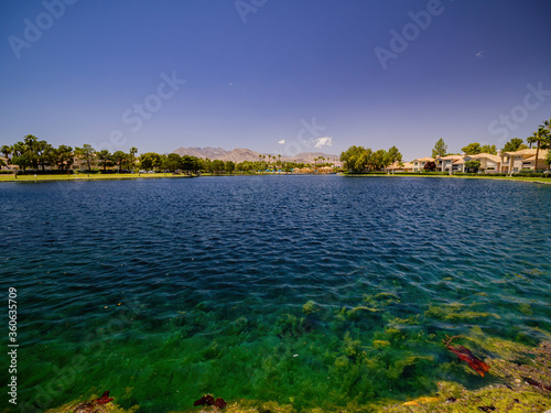Obraz na plátně Sunny view of the Desert Shores community