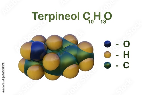 Structural chemical formula and space-filling molecular model of terpineol, a monoterpene alcohol that has been isolated from cajaput oil, pine oil and petitgrain oil. 3d illustration photo