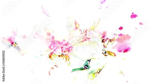 Floral Collection. Beautiful Orchid flowers blooming. Timelapse. Composition of blooming Orchid flowers on white background, close-up. 4K HD videos. Watercolor Artwork