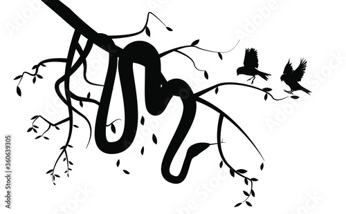 Viper snake silhouette in tree hunting bird