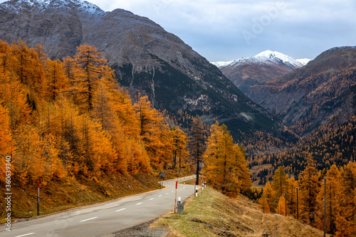Sils im Engadin uím Herbst in der Schweiz