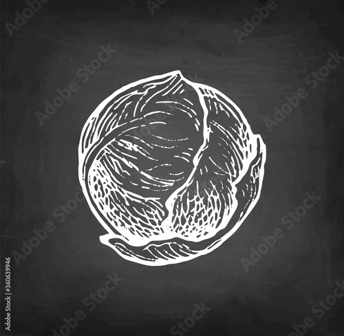 Chalk sketch of brussel sprout