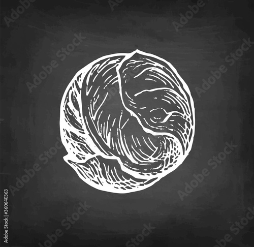 Chalk sketch of brussel sprout