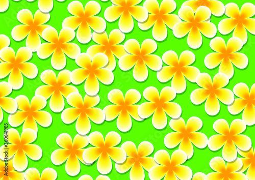 Seamless white plumeria or araliya flower pattern for wallpaper in vector format photo