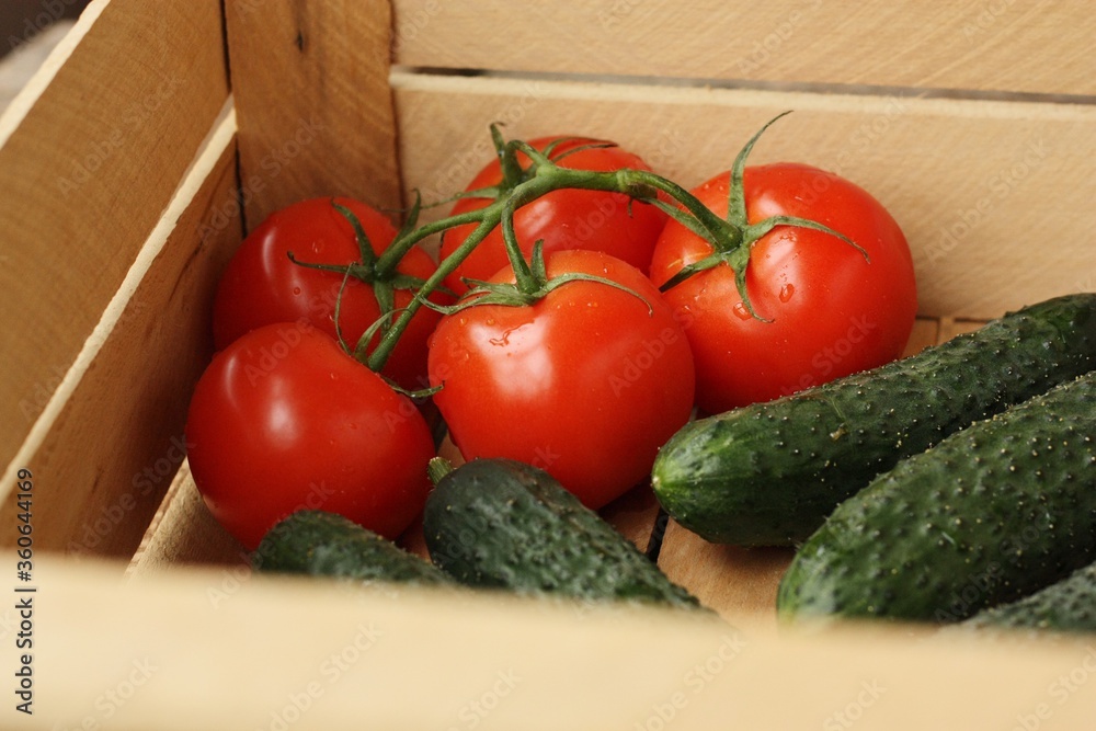 Fresh cucumbers and tomatoes on the table Fresh cucumbers and tomatoes on the table