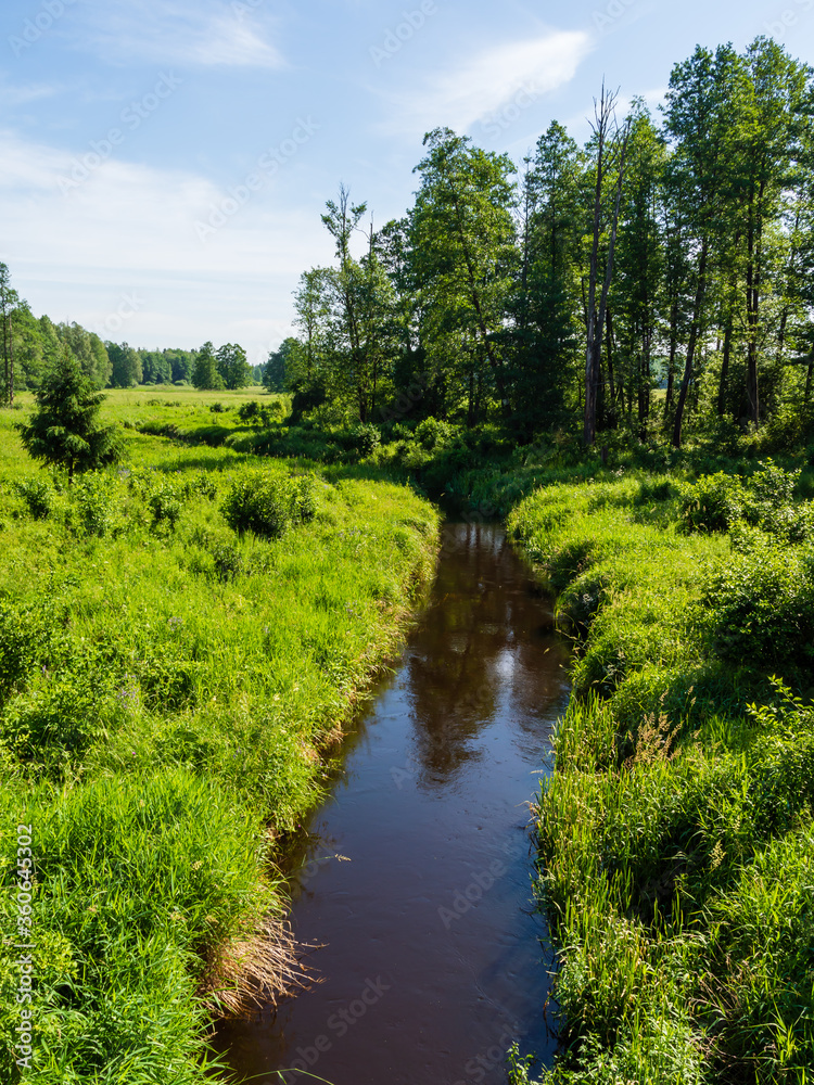 Malownicza polana w Puszczy Knyszyńskiej, Podlasie, Polska