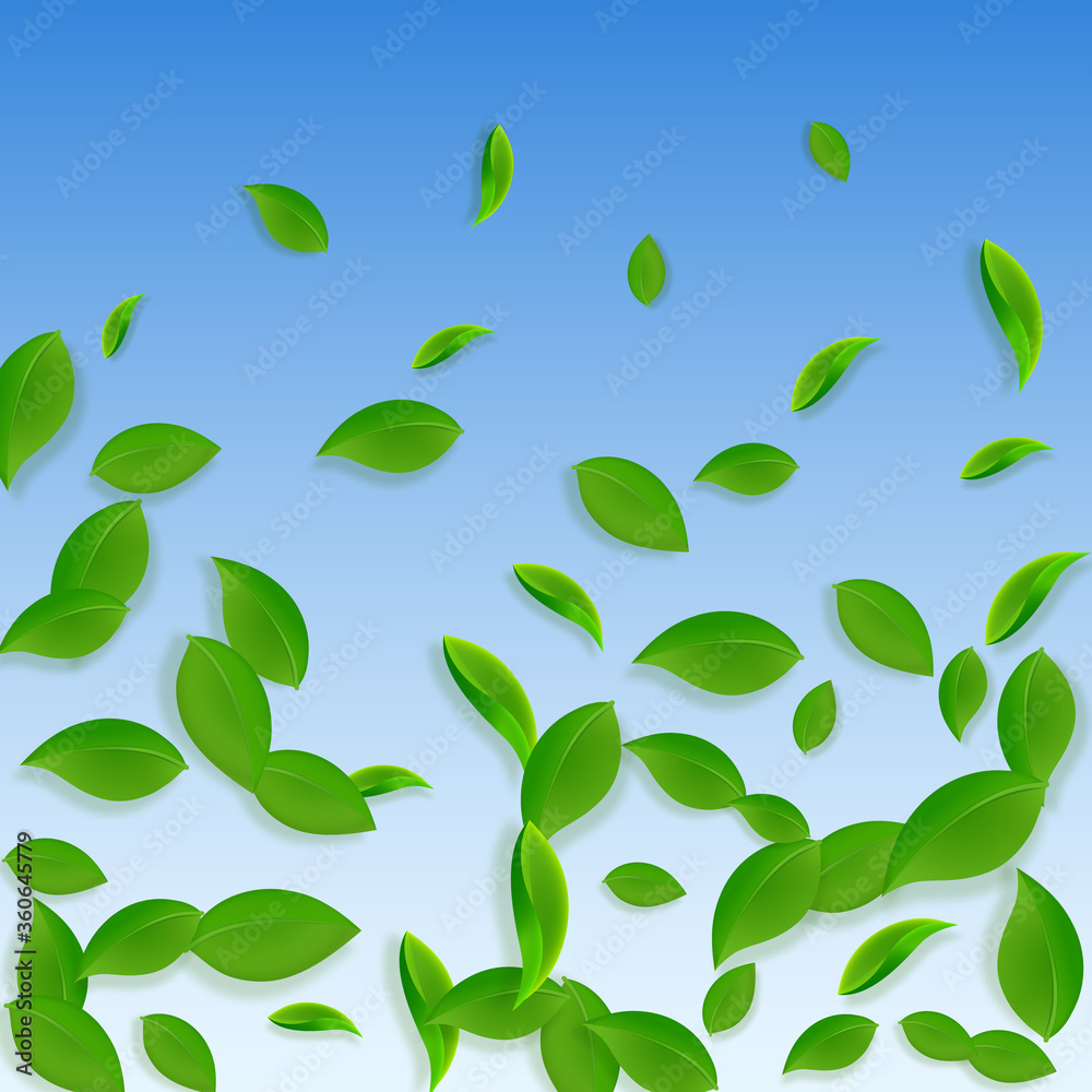 Falling green leaves. Fresh tea chaotic leaves fly Falling green leaves. Fresh tea chaotic leaves fly