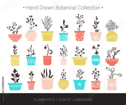 Home flowers, plants in pots. Botanical hand drawn vector design elements for logo design, branding, fashion textile print, invitation card. Cute cartoon illustrations isolated on white background.