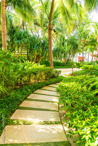 empty walkway with tree