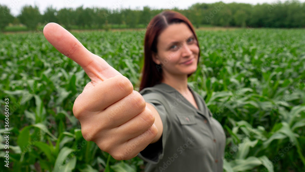 A smiling female farmer giving thumbs up on a healthy corn field. Successful season in agriculture. A smiling female farmer giving thumbs up on a healthy corn field. Successful season in agriculture.