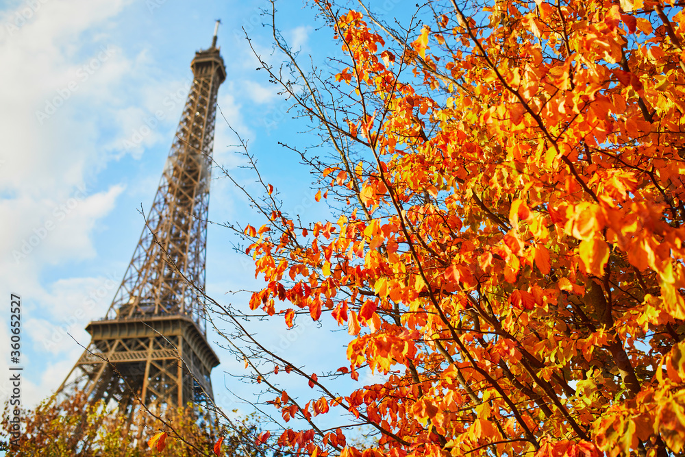 Scenic view of the Eiffel tower and Champ de Mars park on a fall day