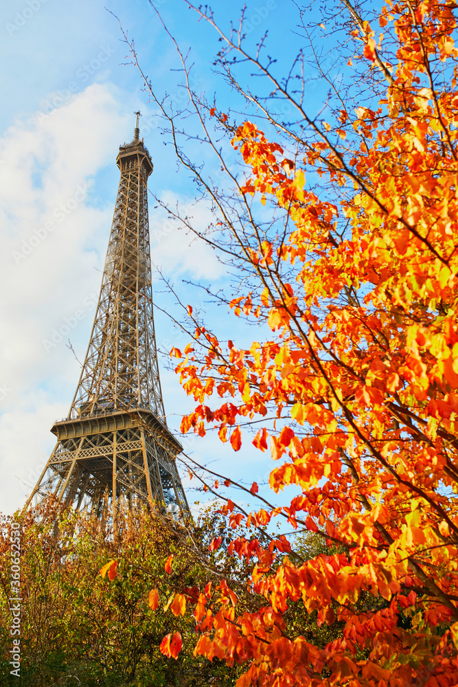 Scenic view of the Eiffel tower and Champ de Mars park on a fall day