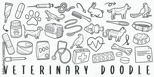 Veterinary Pets Doodle Line Art Illustration. Hand Drawn Vector Clip Art. Banner Set Logos.