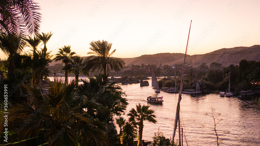 Nile river bank in Egypt sunset orange sky and palm tree with sand dessert slope Nile river bank in Egypt sunset orange sky and palm tree with sand dessert slope