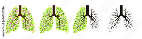 Human lungs. Respiratory system. Healthy lungs. Light in the form of a tree. Line art. Drawing by hand. Medicine. Vector graphics