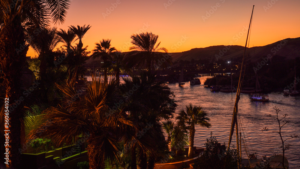 Nile river bank in Egypt sunset orange sky and palm tree with sand dessert slope