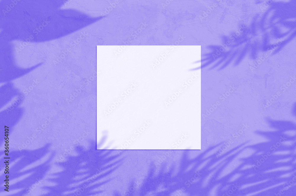 Summer modern sunlight stationery mockup scene. Flat lay top view blank greeting card with palm leaf and branches shadow overlay on grunge violet background. Summer modern sunlight stationery mockup scene. Flat lay top view blank greeting card with palm leaf and branches shadow overlay on grunge violet background.