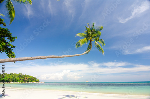 tropical beach with coconut palm trees © heru
