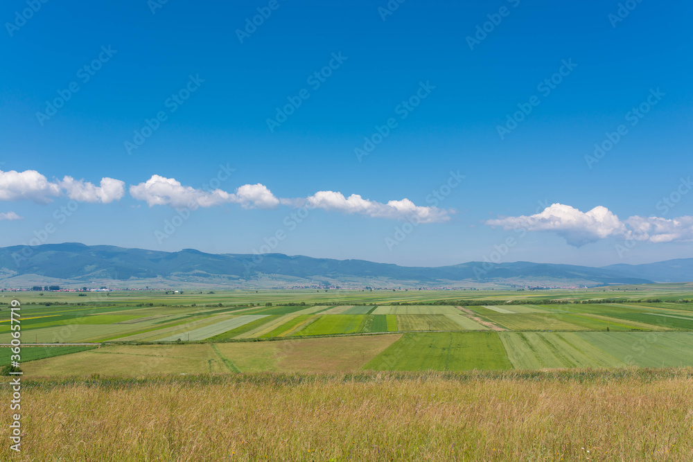 Agricultural fields at summertime on a hot day in Transylvania, Romania.