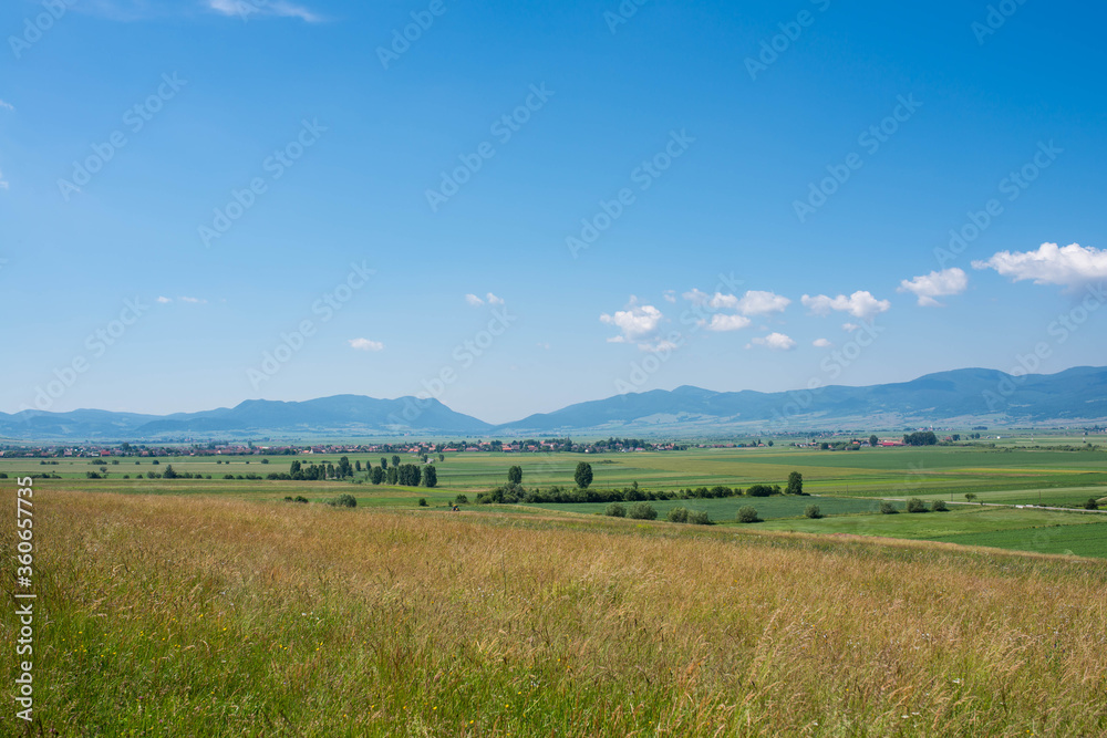 Agricultural fields at summertime on a hot day in Transylvania, Romania.