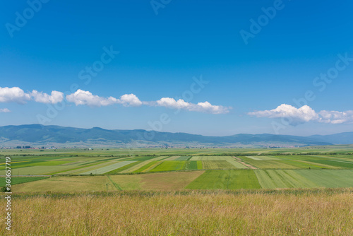 Agricultural fields at summertime on a hot day in Transylvania  Romania.