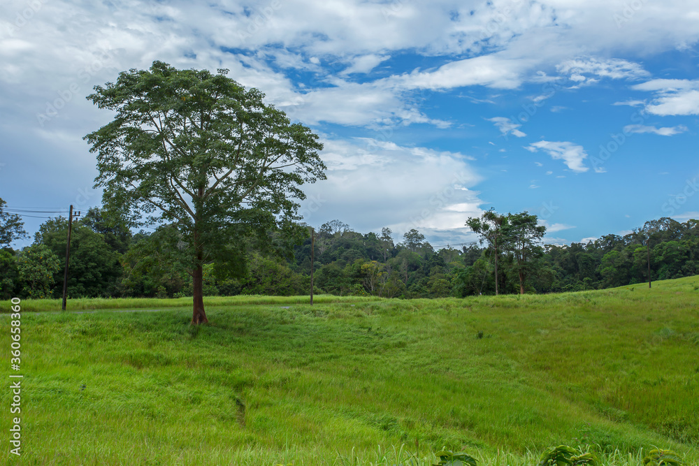 Country - Geographic Area, Khao Yai National Park, Land, National Park, Thailand