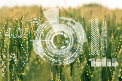 Fényképezés Ears of wheat with infographics