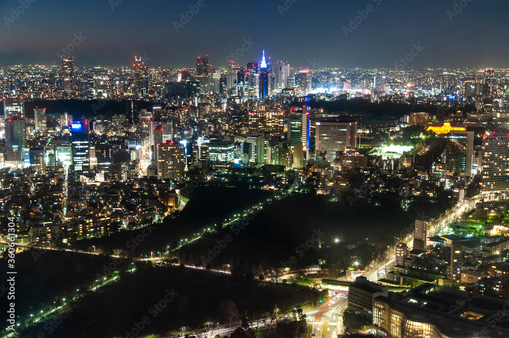 Night view of the Tokyo skyline from Roppongi Hills.