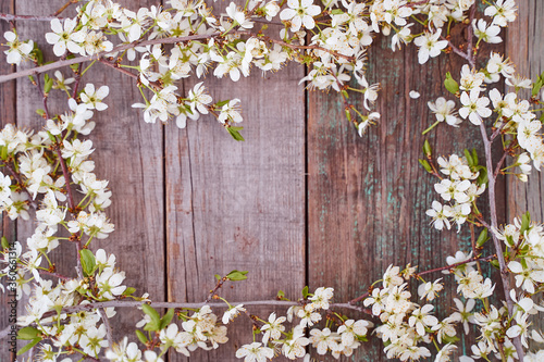 flowering branches of cherry lie on a wooden table. Top view. With copy space.