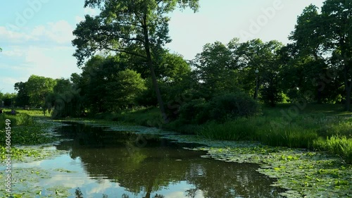 wide angle view of the serene Humboldt park during evening time in Chicago. The peaceful calm pond has  tranquil water and vibrant green leaves for a healthy environment photo