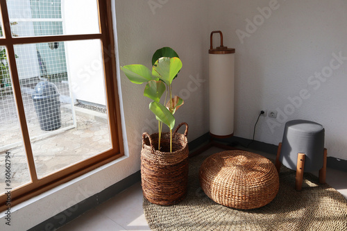 Aesthetic interior. Sitting corner has floor lamp, floor mat, plants and chair. Plants basket and chair made from water hyacinth. Sun shines through window